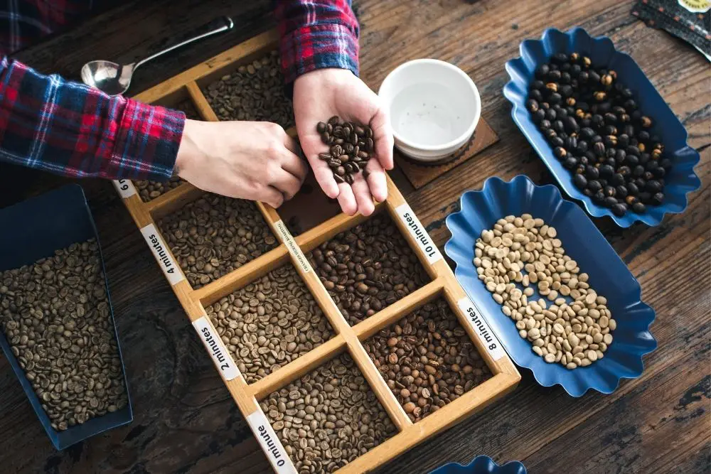 different types of roasted coffee beans