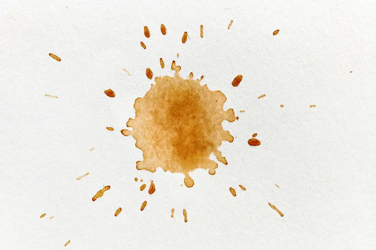 remove coffee stains from wall