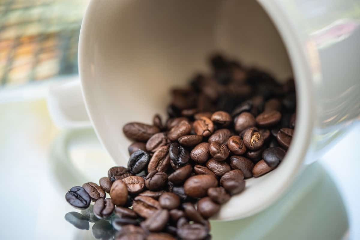 caffeine in coffee beans