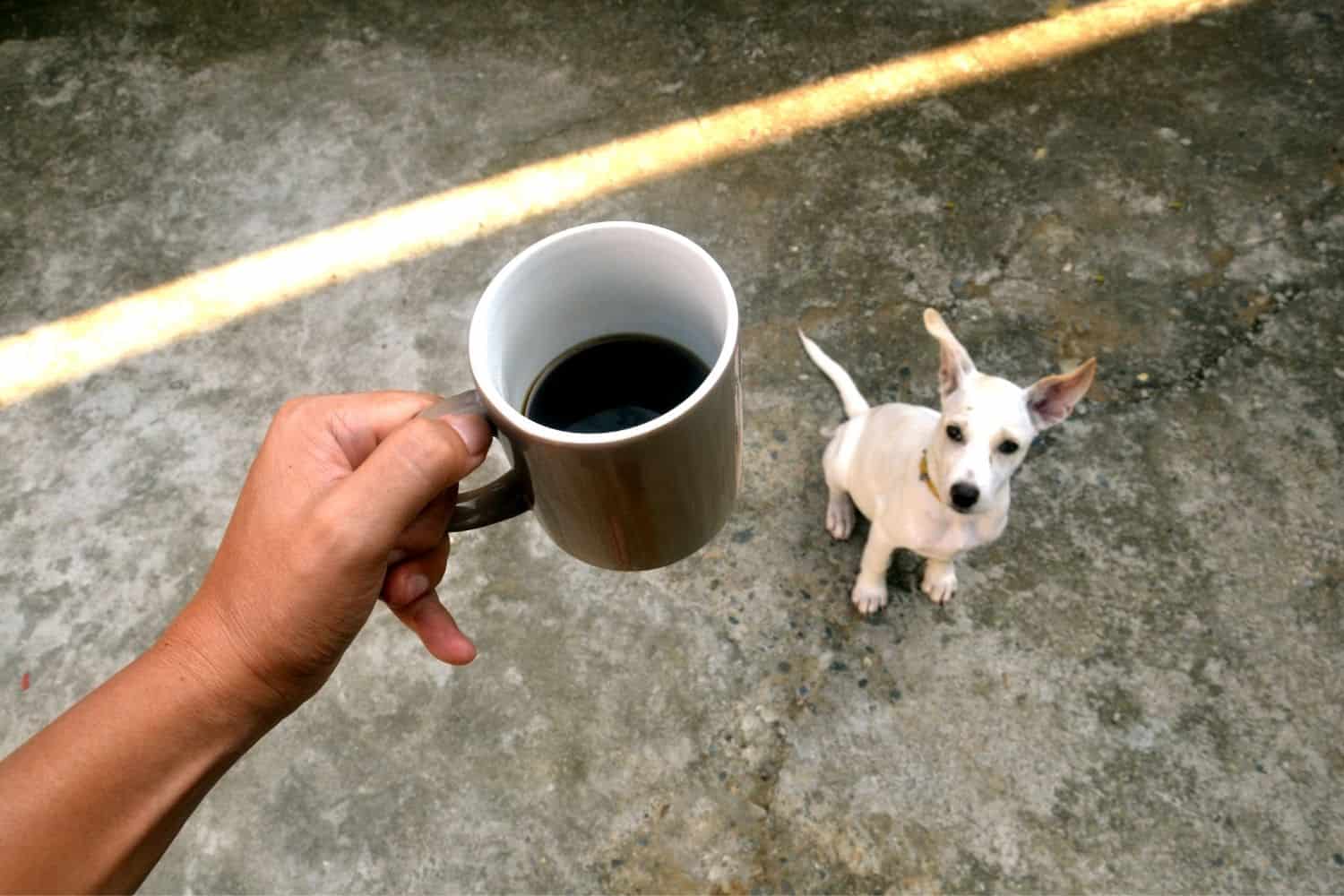 man holding a cup of coffee neat his dog.