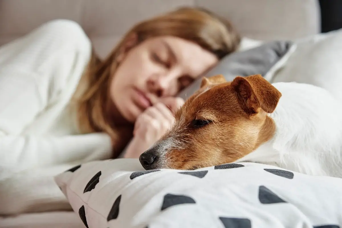 woman sleeping after drinking coffee