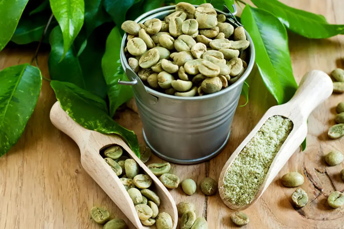 green coffe beans in a tub with two wooden spoon contains green coffee