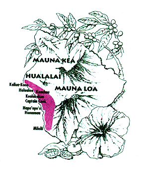 kona flowermap