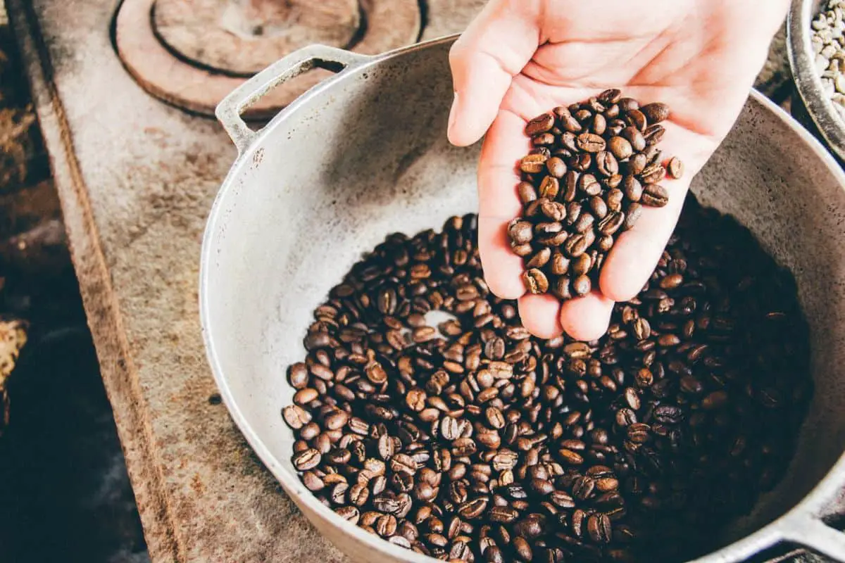 man holding roasted coffee beans