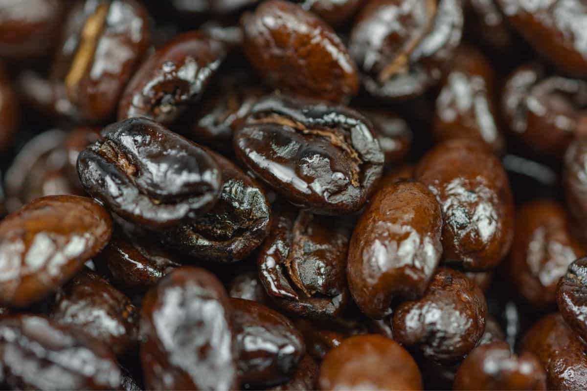 oily coffee beans