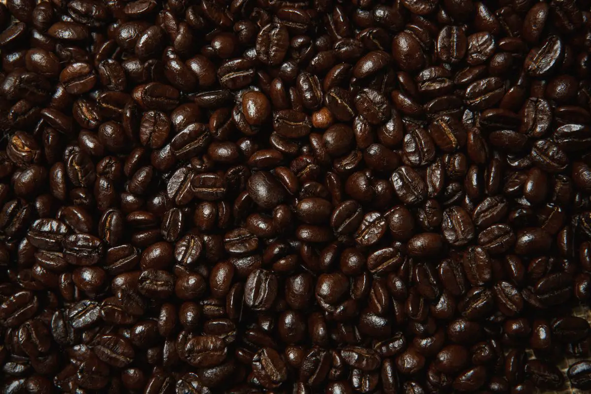 coffee beans shiny