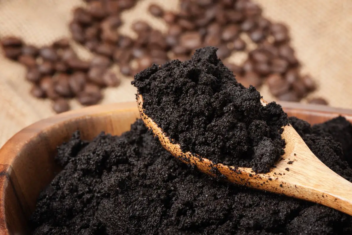 coffee ground in a wooden bowl