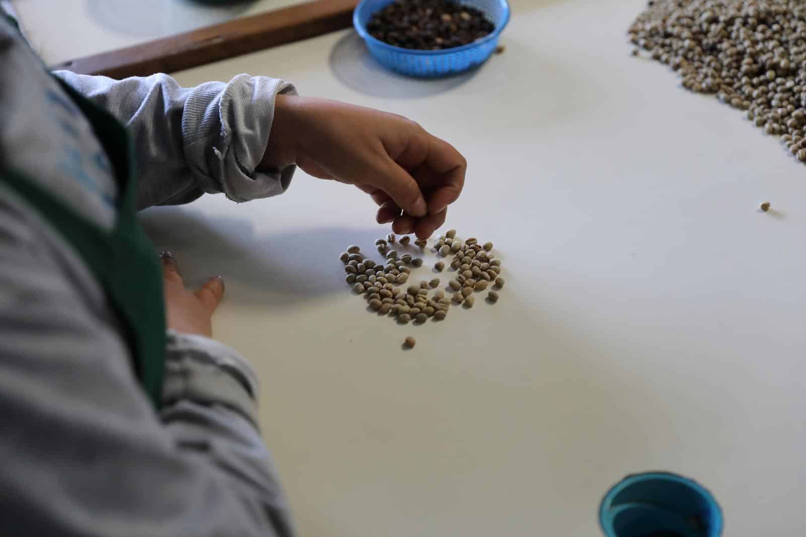 Processing coffee beans