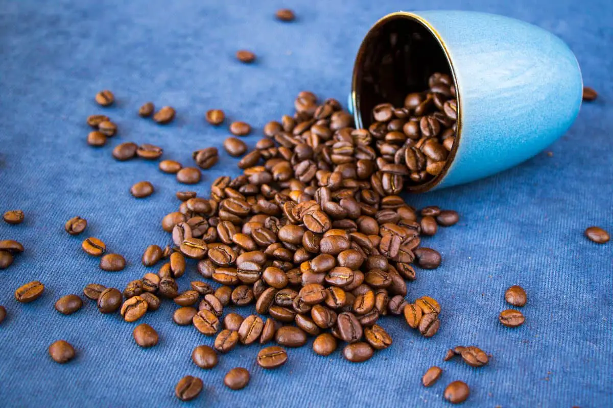 coffee beans in a cup