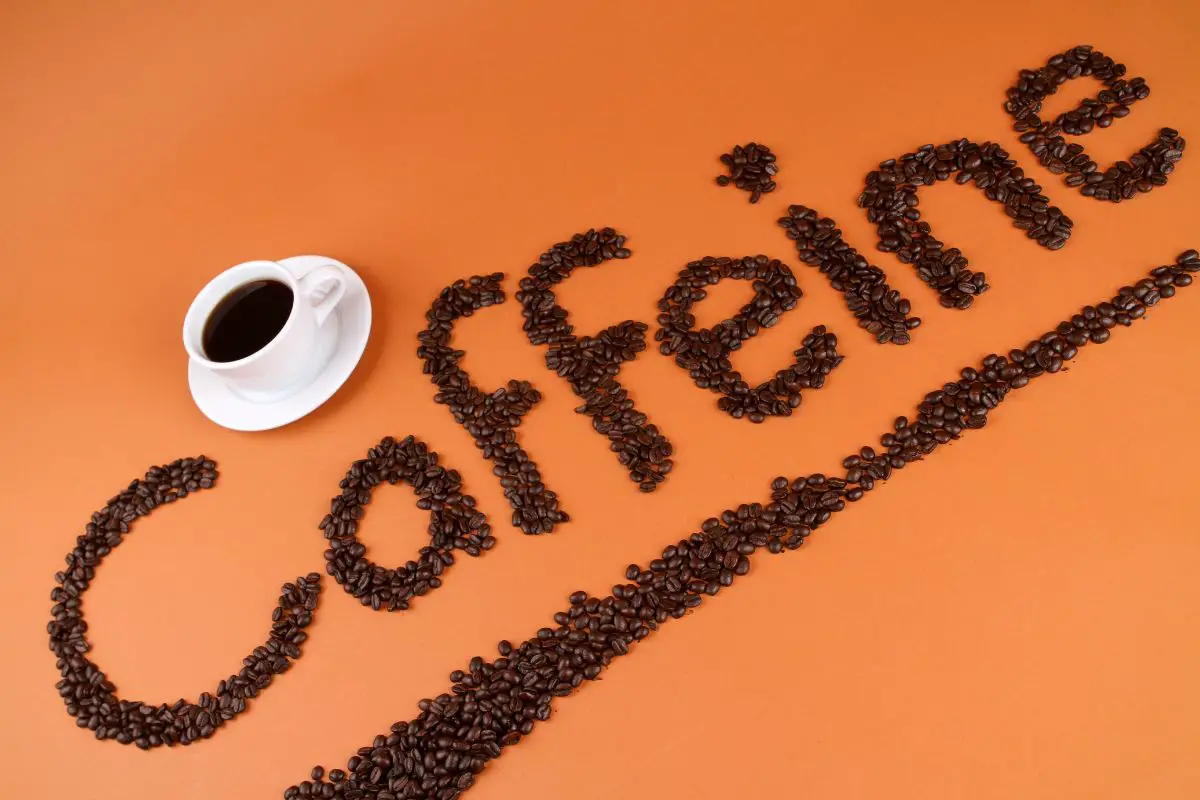 coffee bean most caffeine