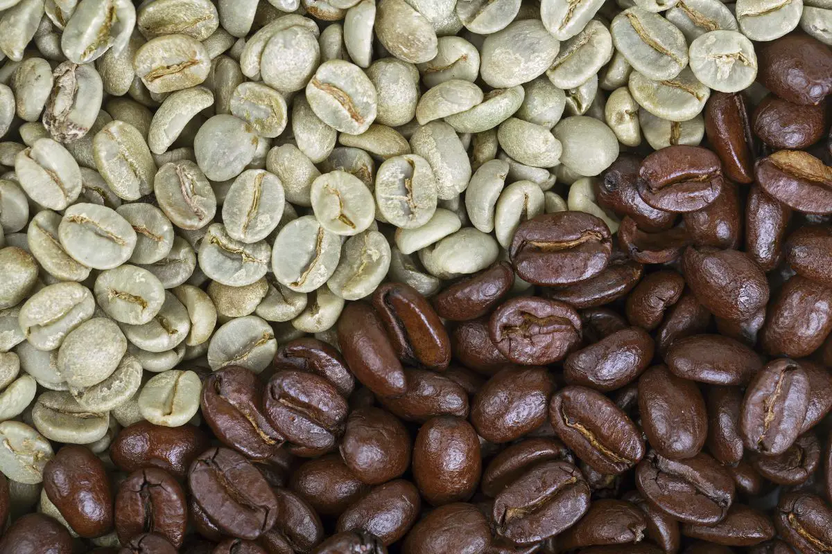 coffee beans appearance