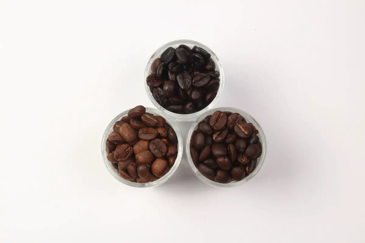 roasted coffee beans appearance