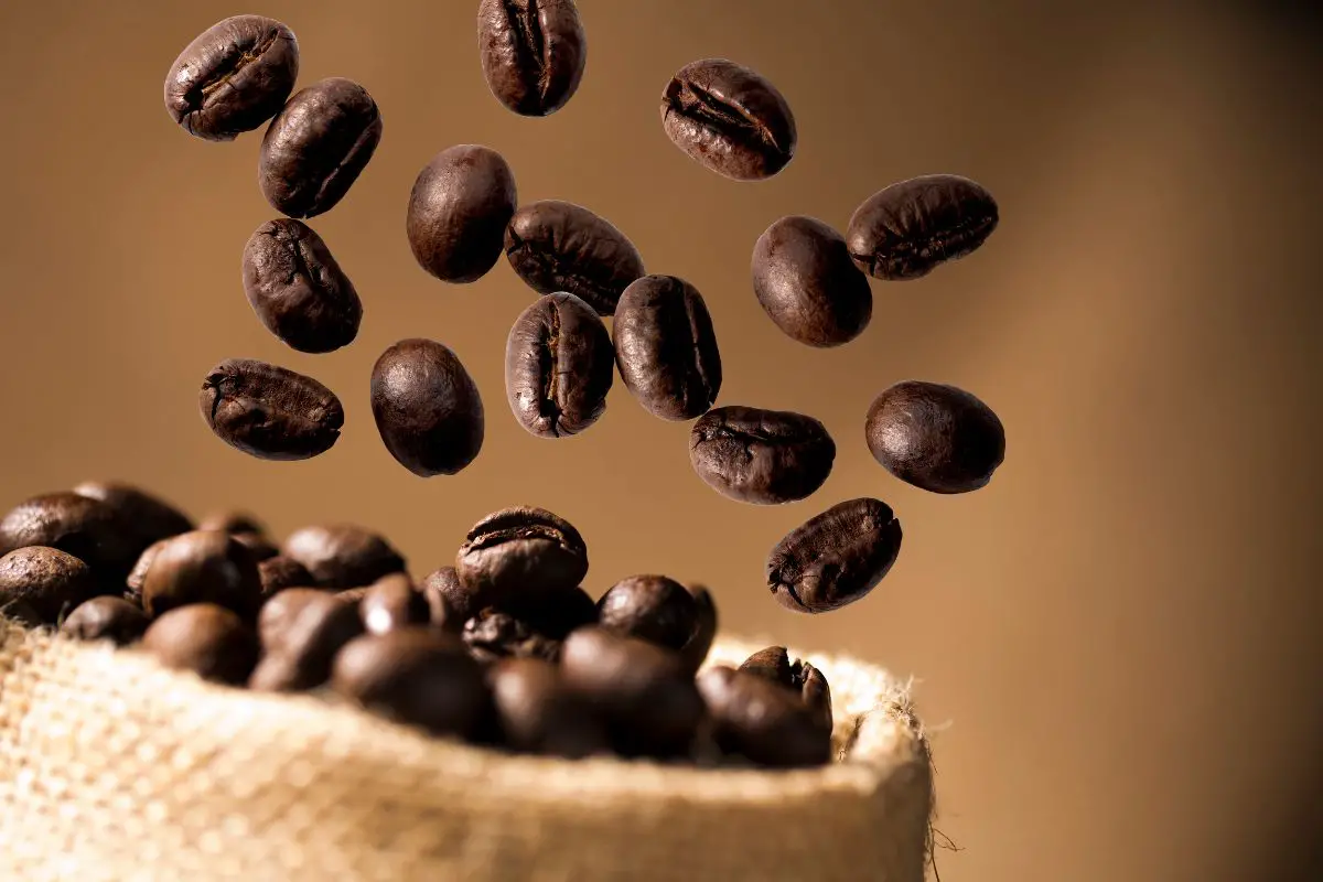 coffee beans caffeine