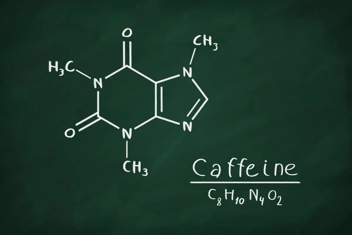 coffee beans naturally caffeinated
