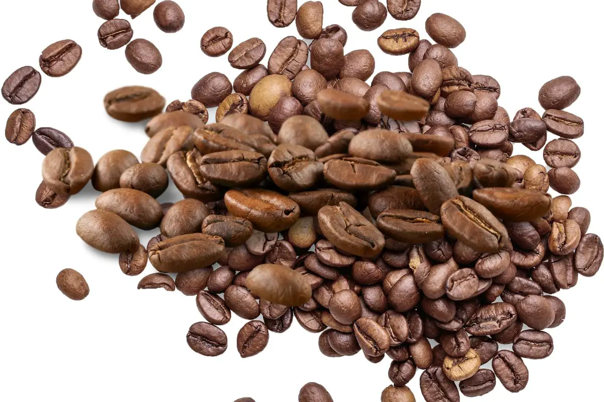 roasted coffee beans 