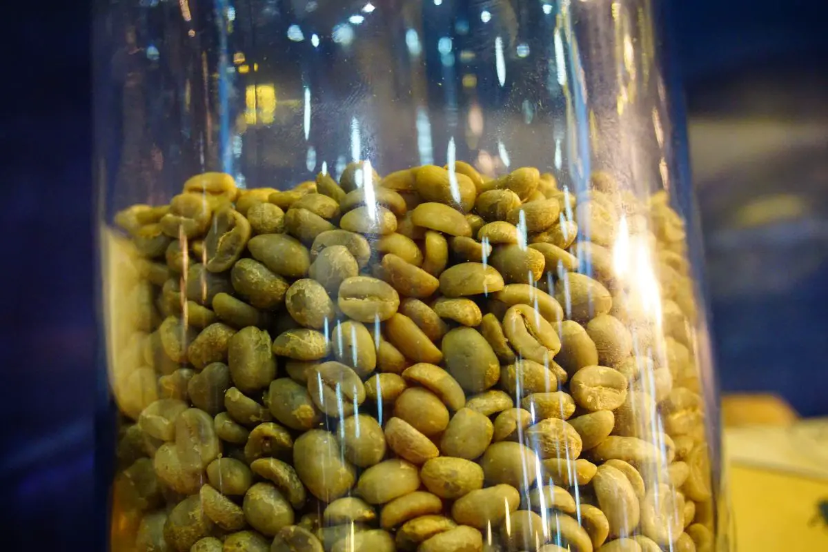 coffee beans seeds