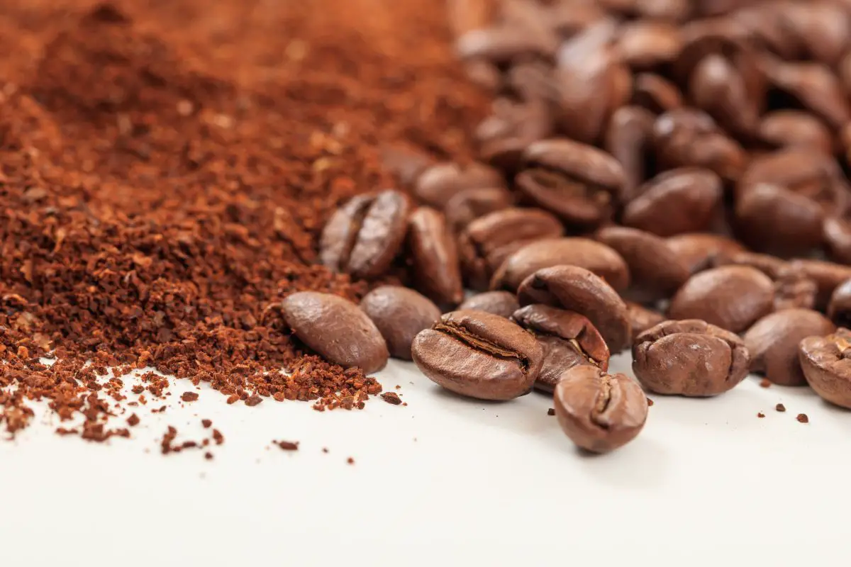 coffee beans vs coffee grounds cost