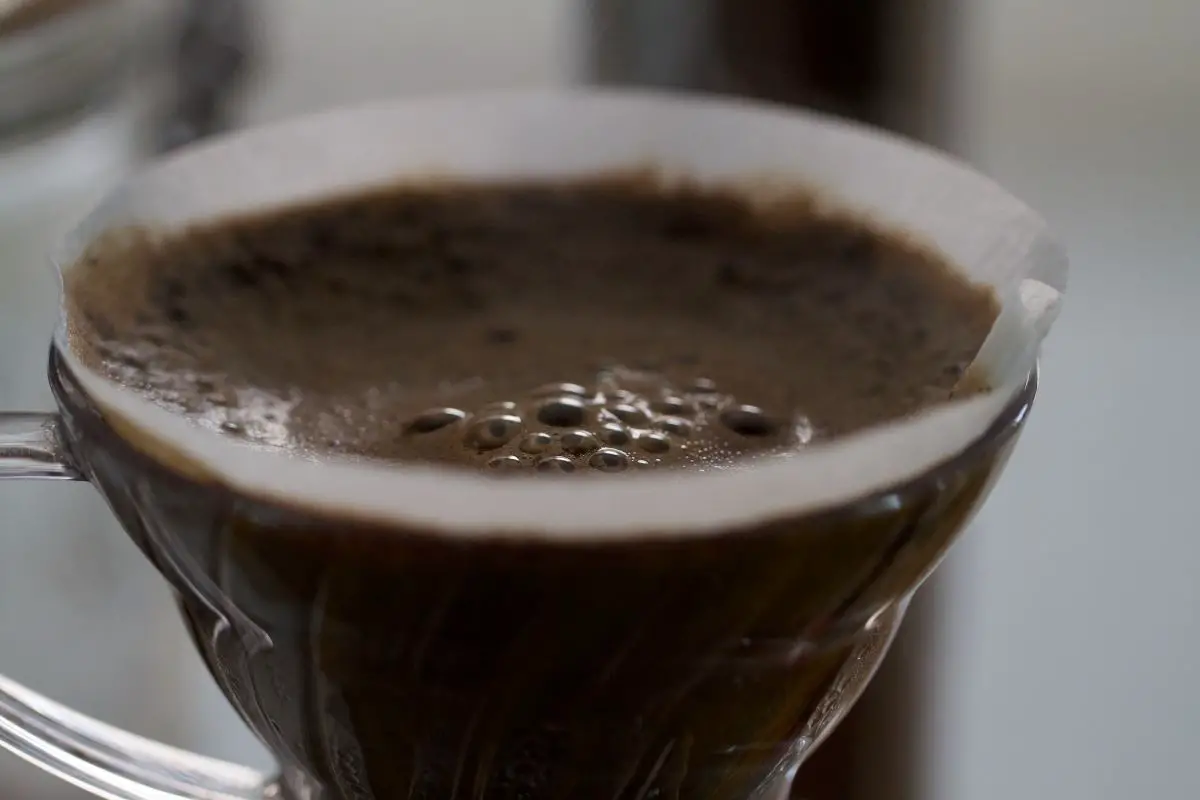 coffee grounds dissolve in water