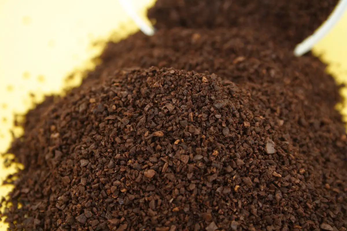 coffee grounds expiry date
