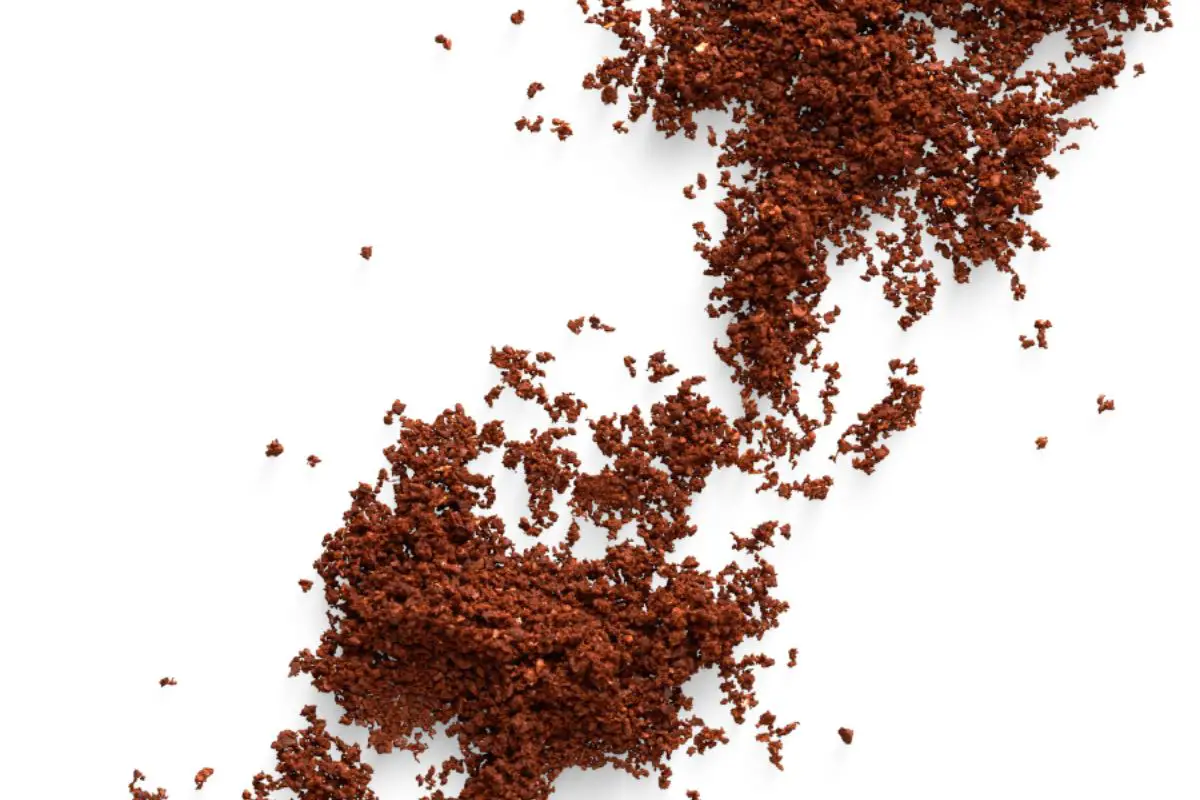 coffee grounds look like