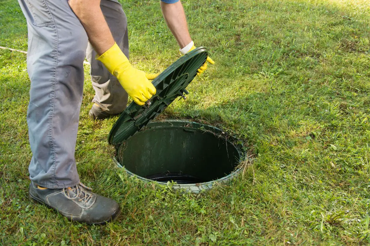 coffee grounds septic