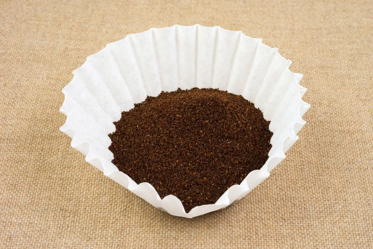 coffee filters septic