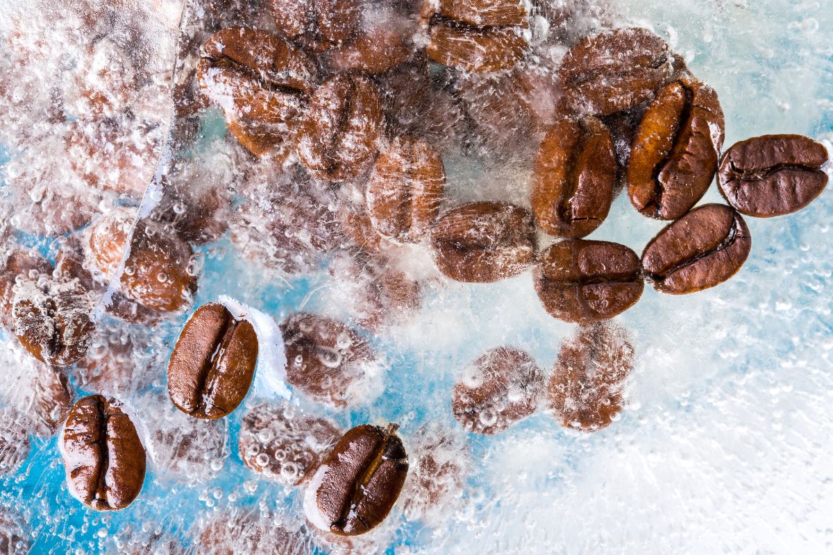 freeze coffee beans