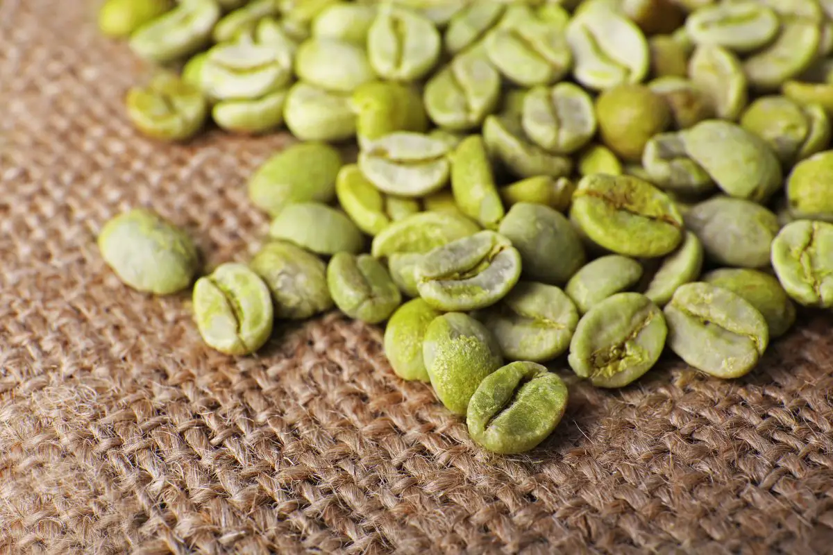 green coffee bean extract caffeine