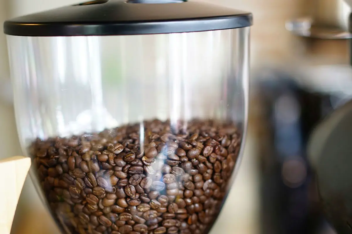 grind coffee beans in ninja blender