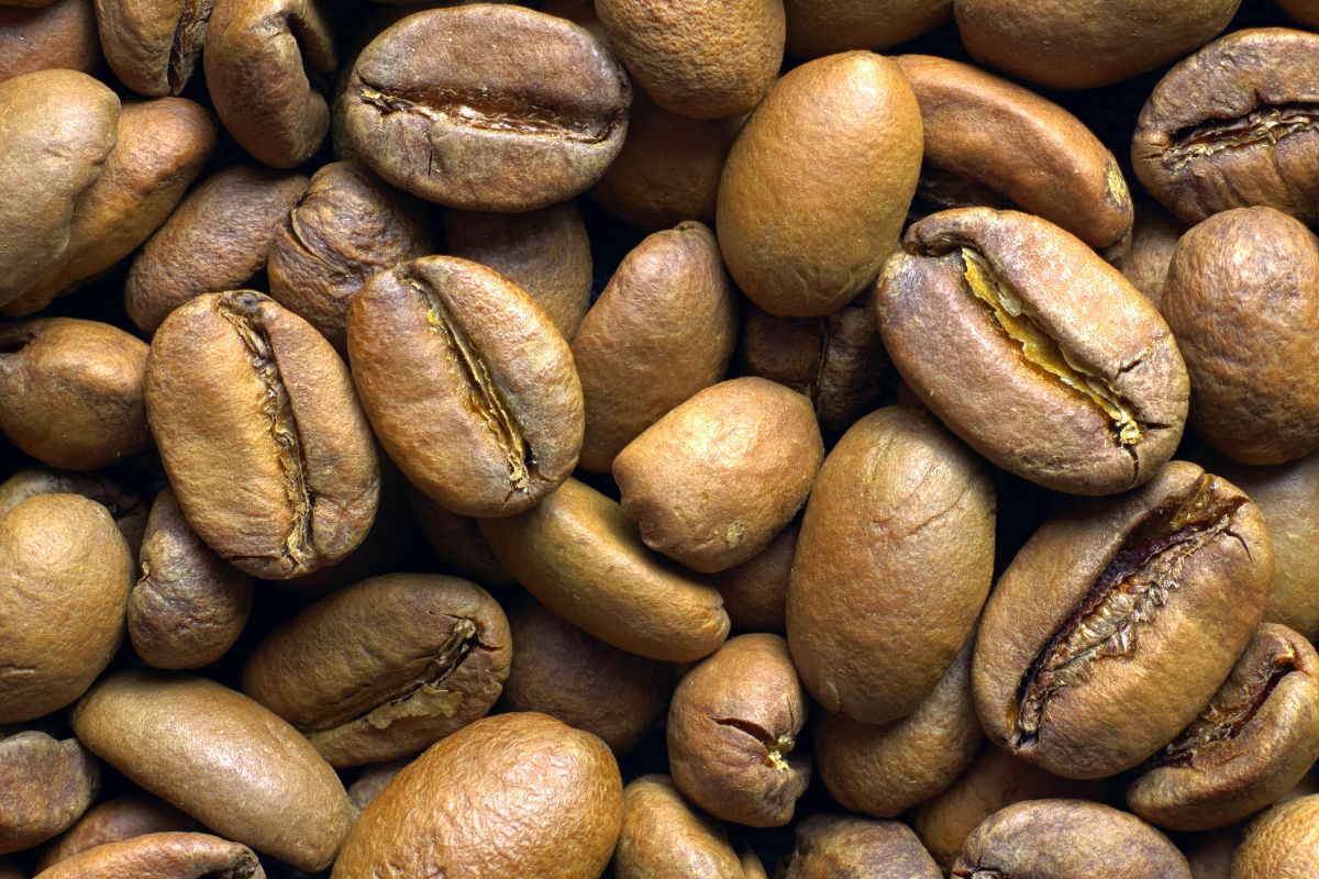 non oily coffee beans