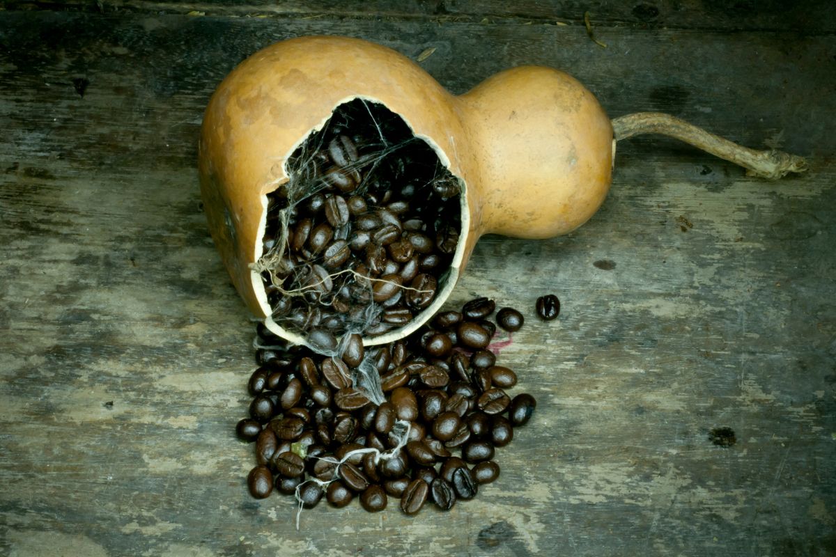 old coffee beans