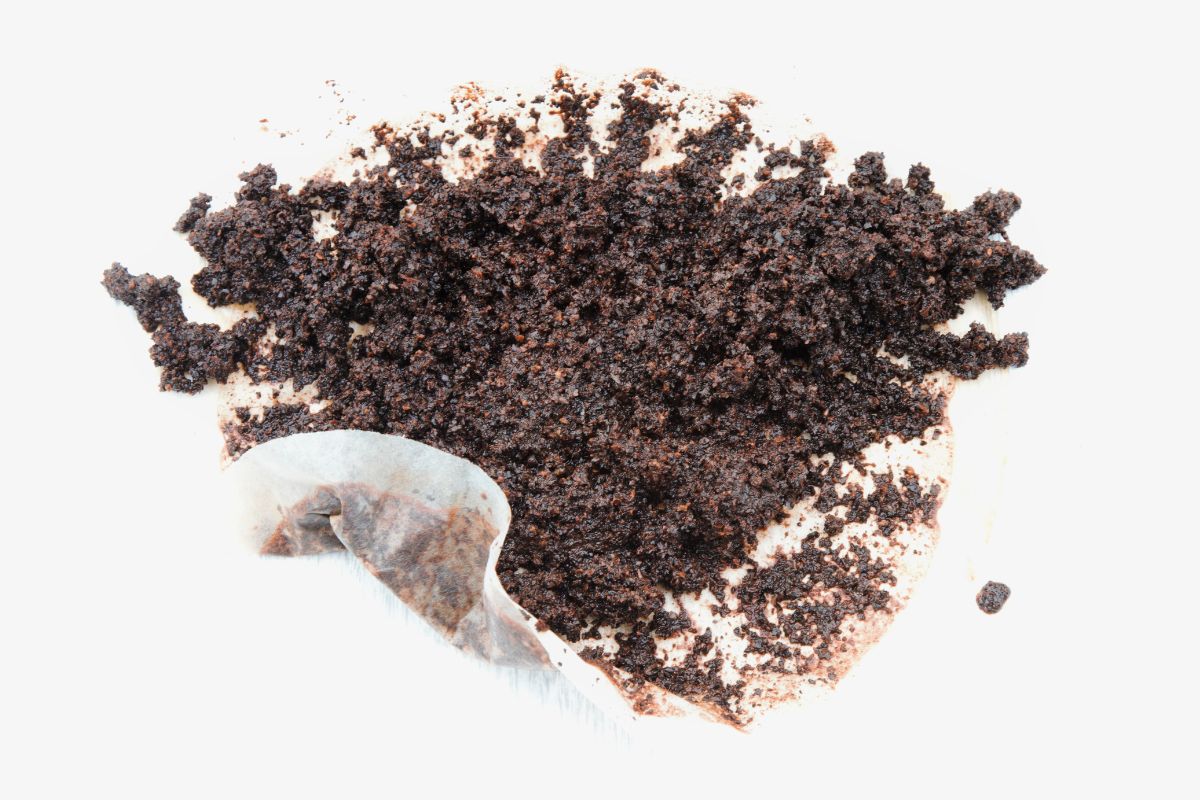 old coffee grounds