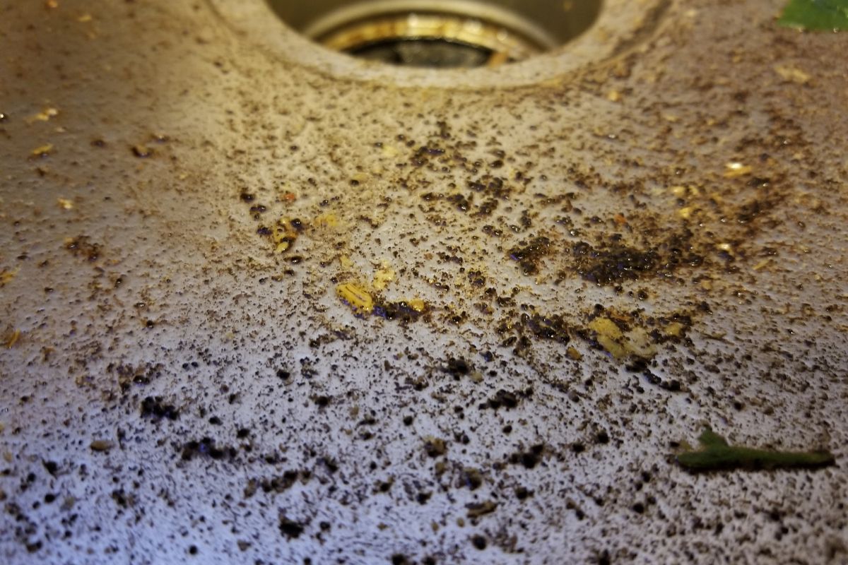 pour coffee grounds in sink
