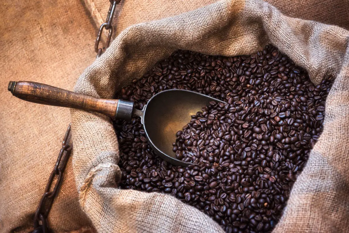 roast coffee beans in whirley pop