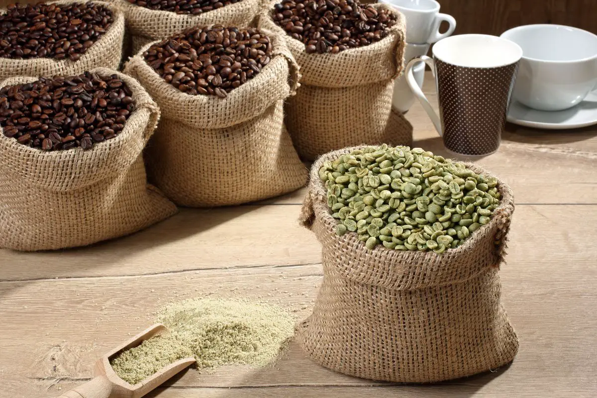 roast vs green coffee beans