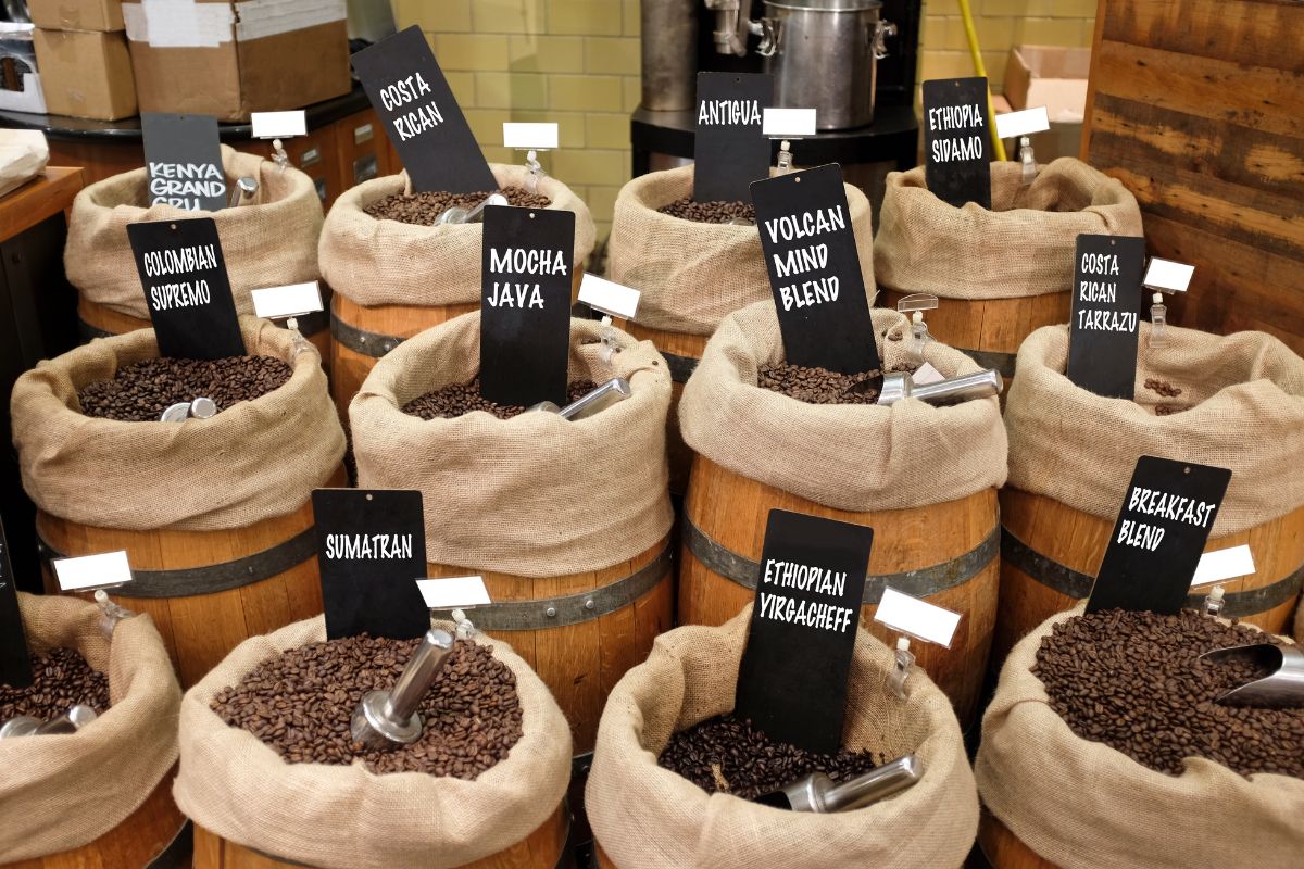 the best coffee beans
