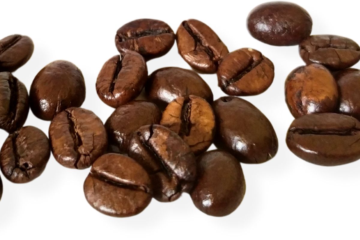 chocolate-covered coffee bean calories
