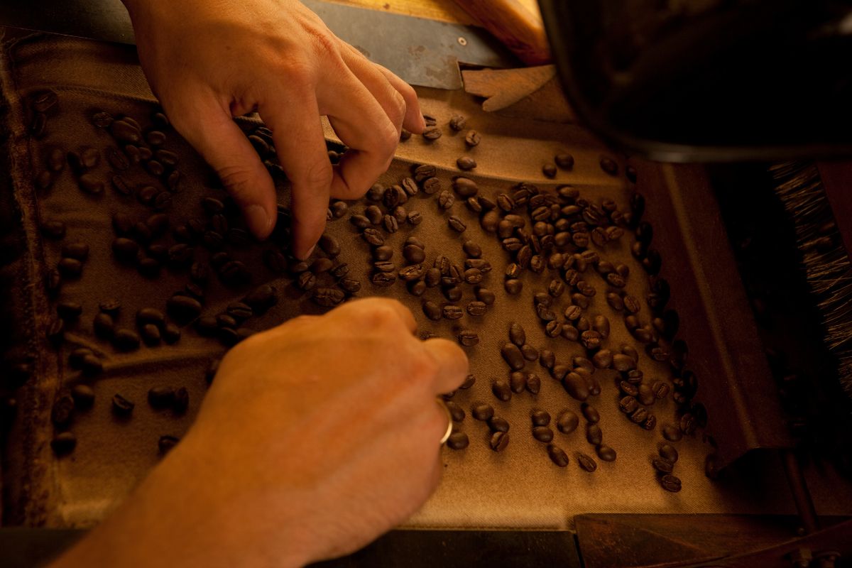 coffee milling and grading