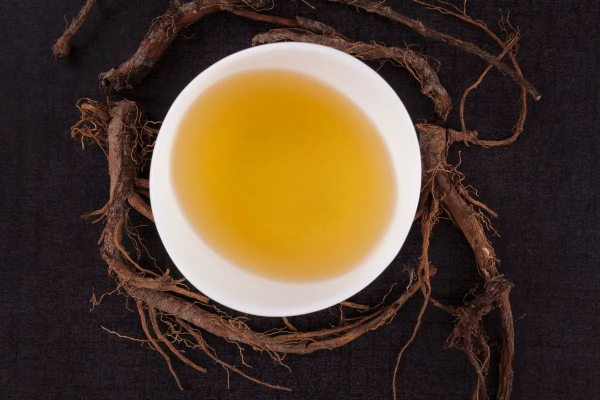 dandelion root tea