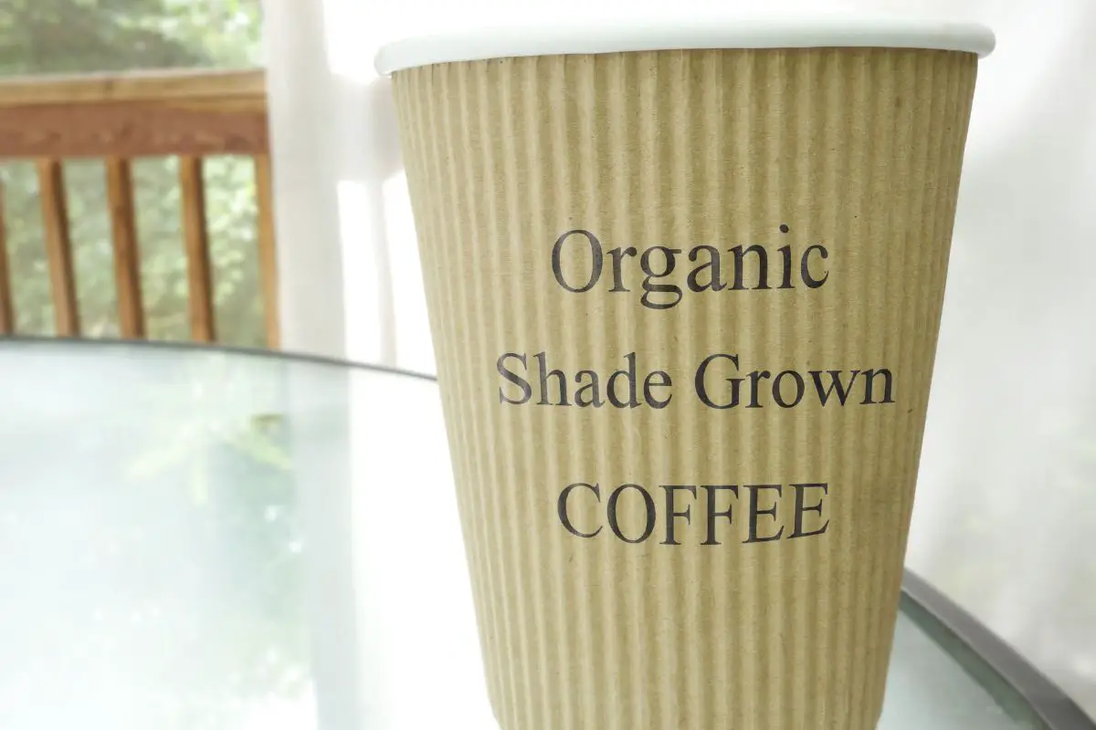 organic coffee