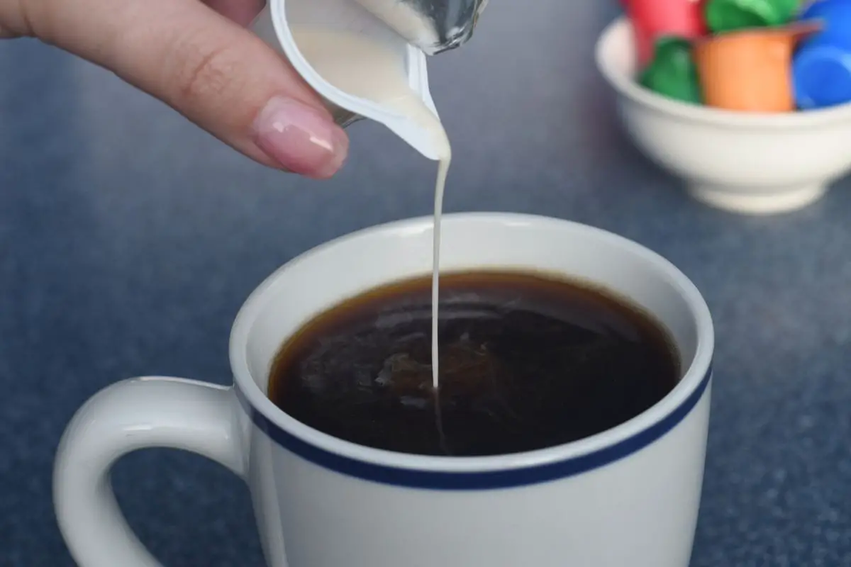 vanilla coffee creamer without condensed milk