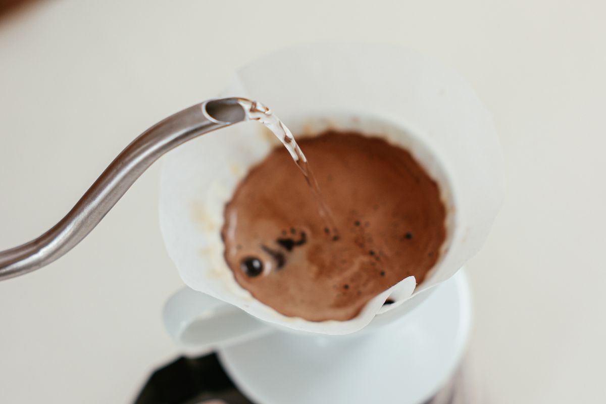 absorption ratio in coffee
