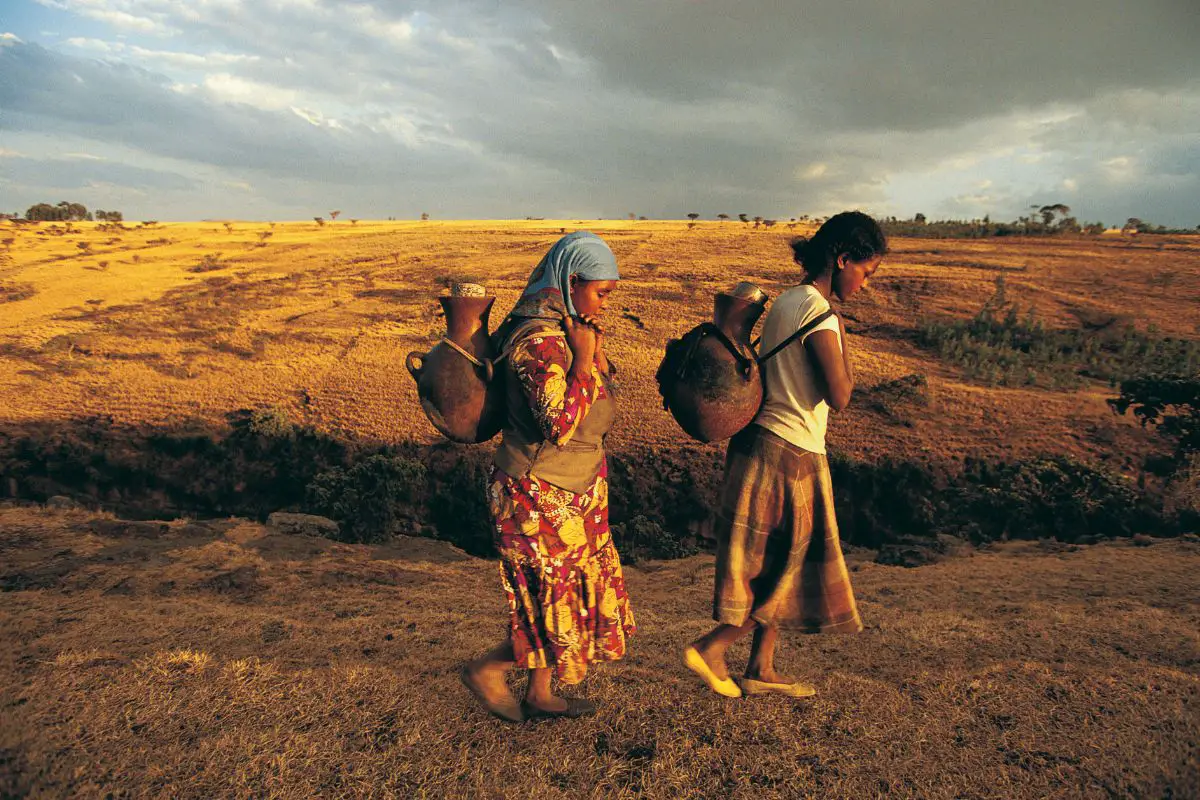 Coffee in Ethiopian Cultural Traditions