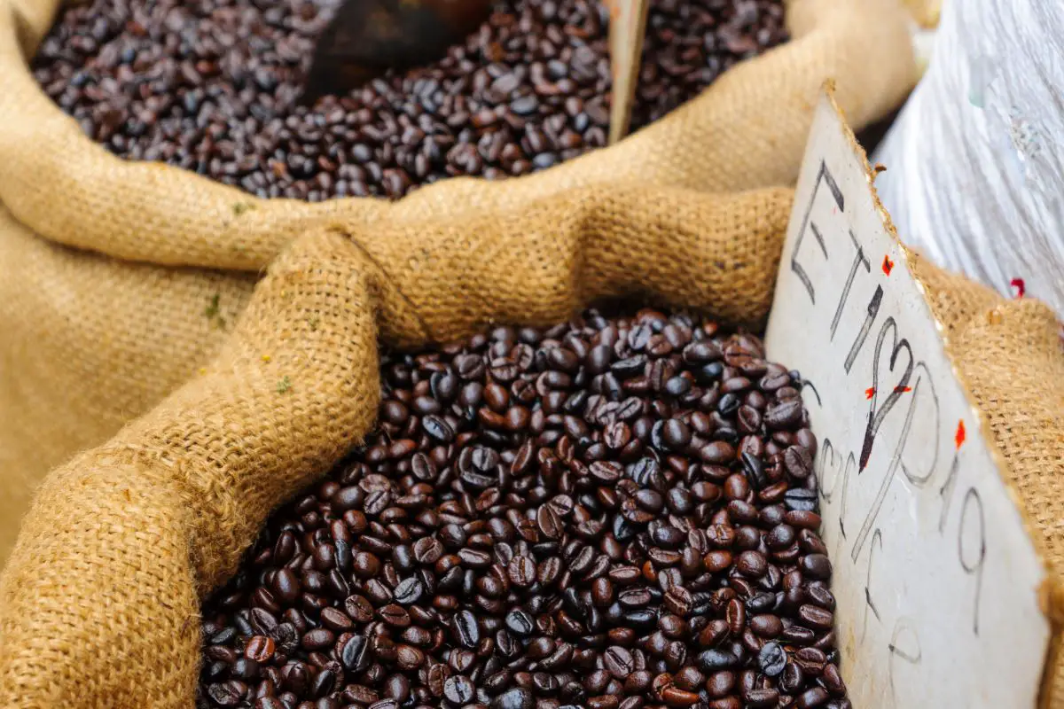 Ethiopian Coffee Beans