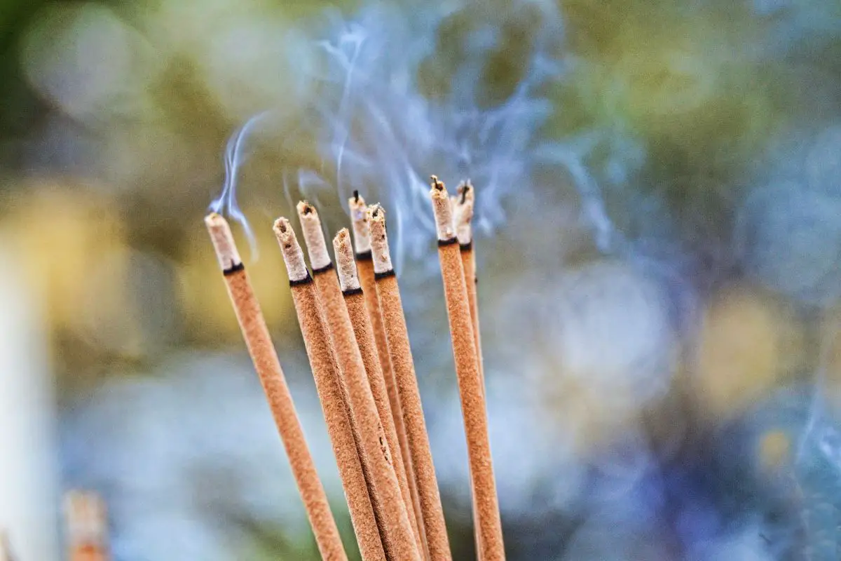 Incense antioxidant properties