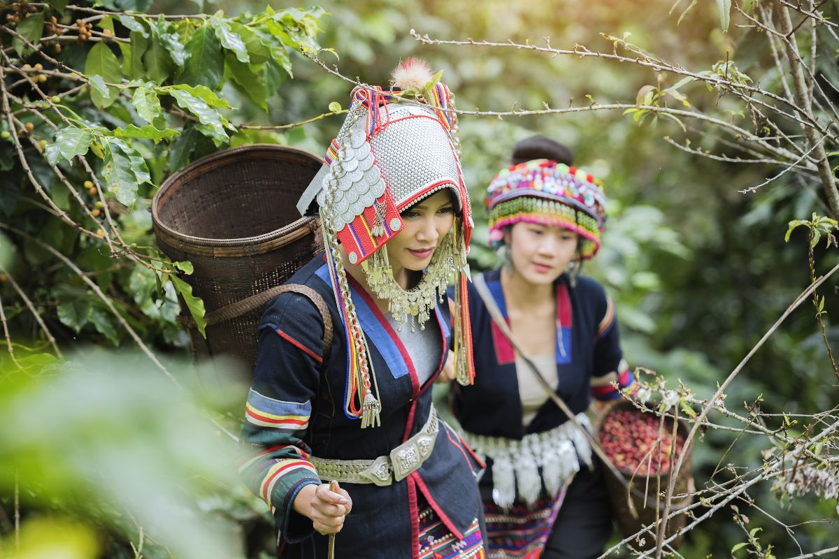 Labor Practices in Coffee Plantations