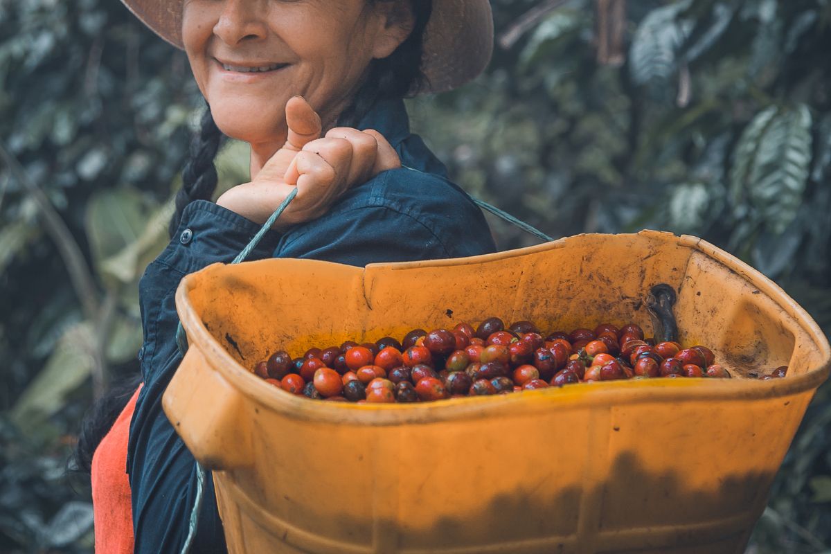 Smallholder Farmers coffee