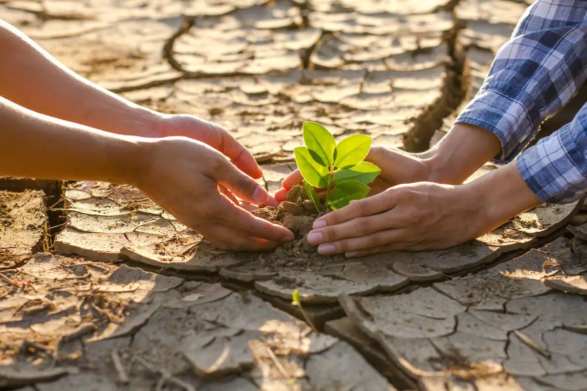 climate change agriculture