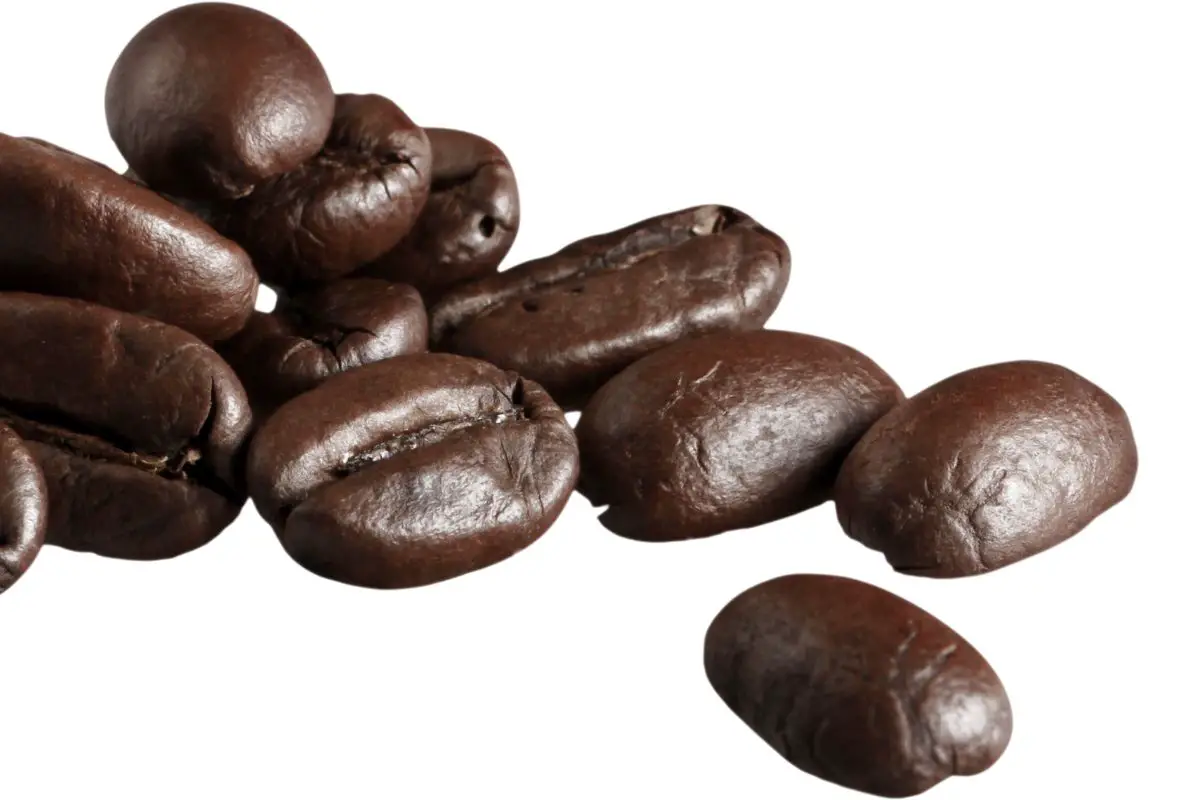 coffee beans quality