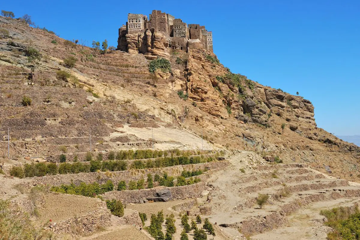 coffee in yemen